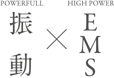 ダブル刺激