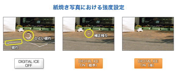 紙焼き写真における強度設定