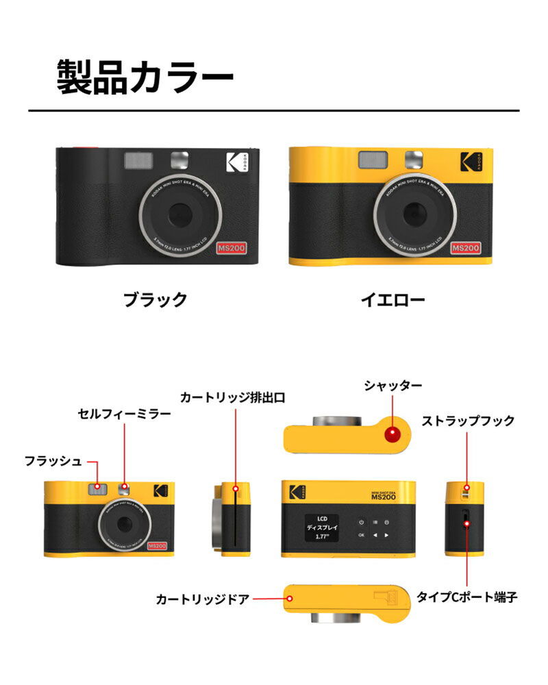 製品カラー