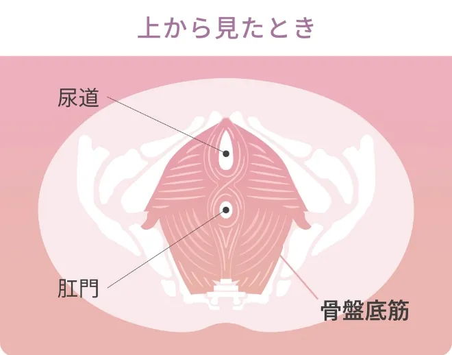 上から見たとき