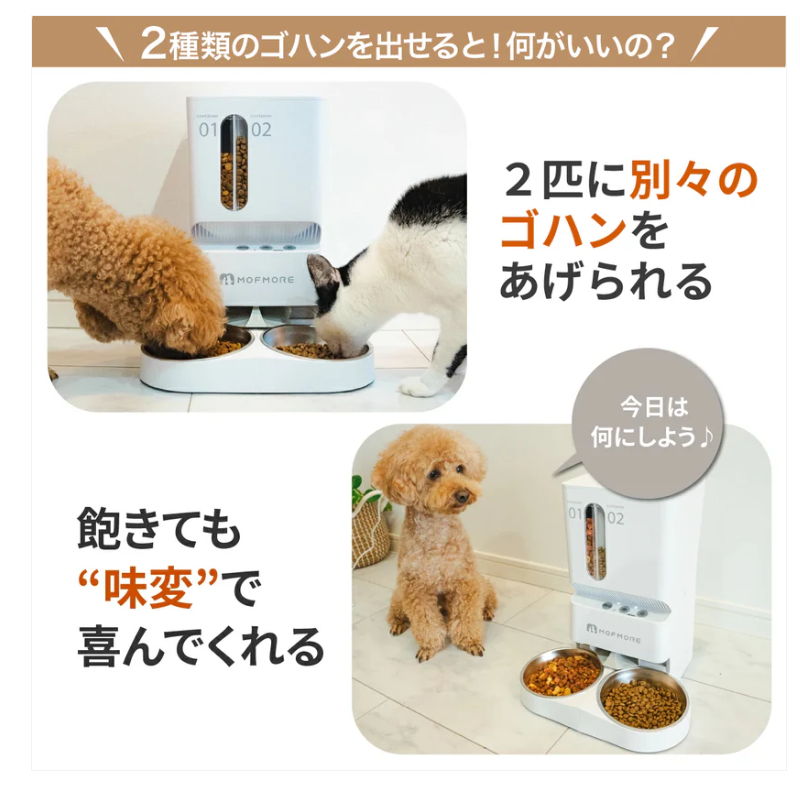 2匹に別々のご飯をあげられる