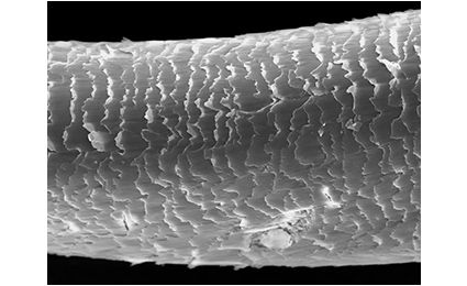 水蒸気爆発を受けた髪