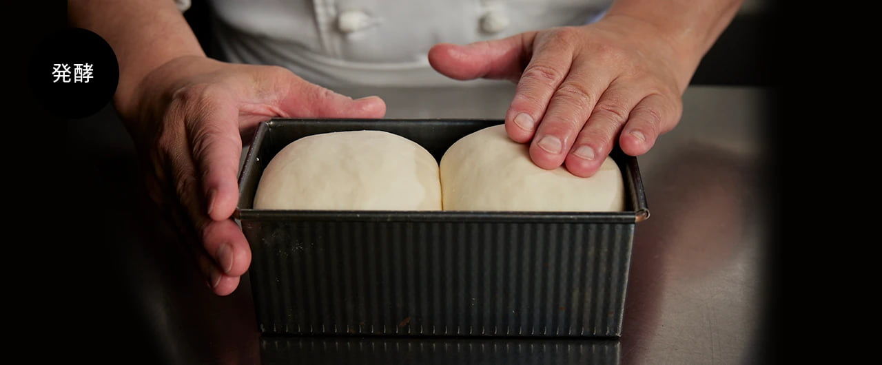 Wセンシング発酵