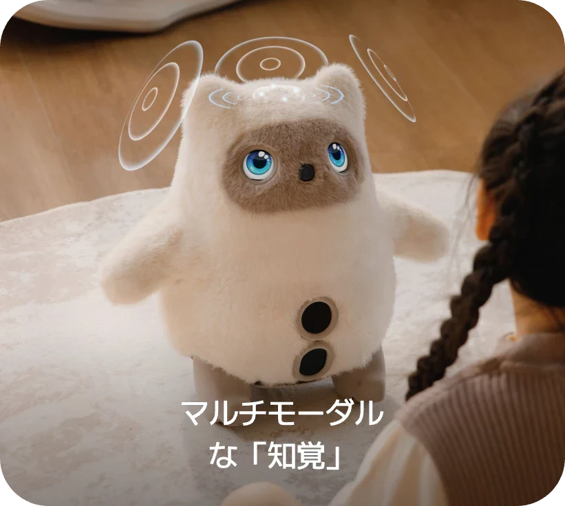 知覚