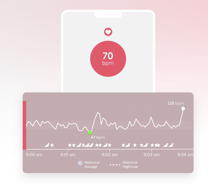 心拍数モニタリング