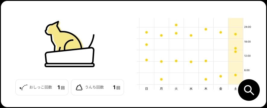 おしっこ回数・うんち回数