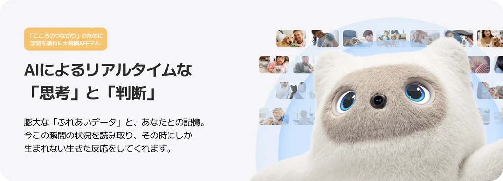 思考と判断