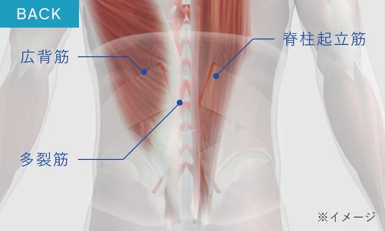 アプローチ部位(後ろ)