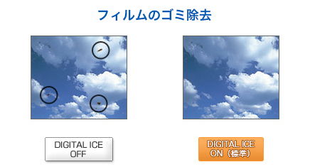 フィルムのゴミ除去